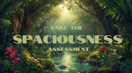 Take the Spaciousness Inventory